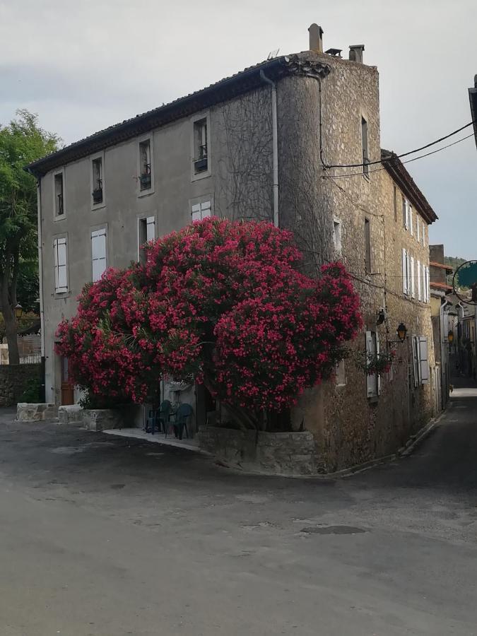 Chez Shona Hotel Lagrasse Exterior photo